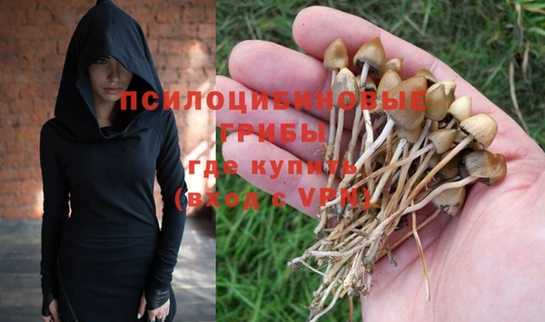 соль ск Балахна