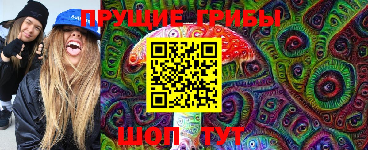 Горно-Алтайск  Галлюциногенные грибы Cubensis  Вход с VPN 