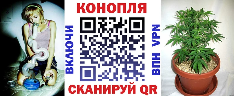 Бошки марихуана White Widow  Горно-Алтайск 